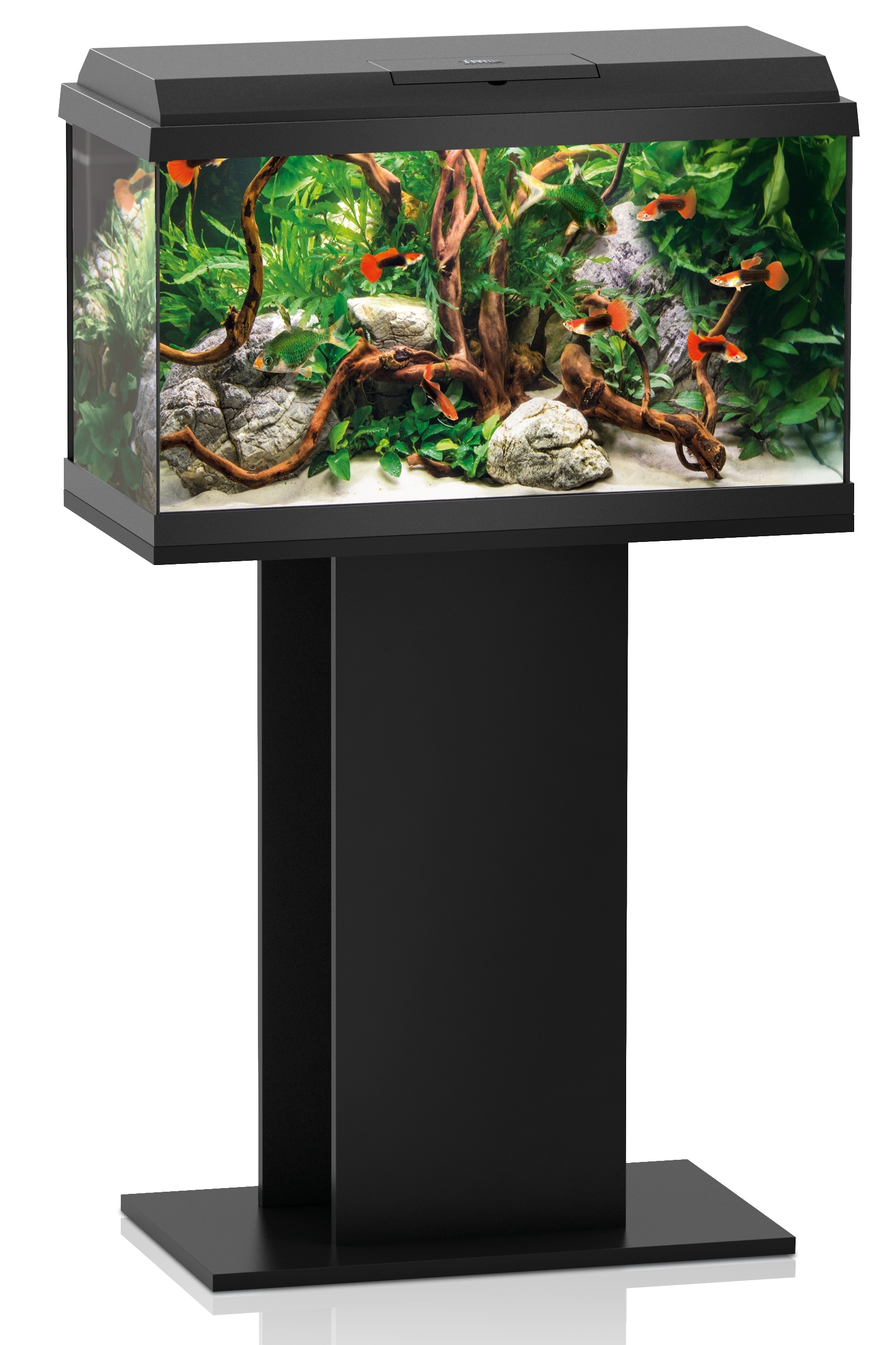 Aqua fashion fish tank 39 Aqua fashion fish tank 15