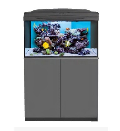 reefmaster pro download reefmaster pro download