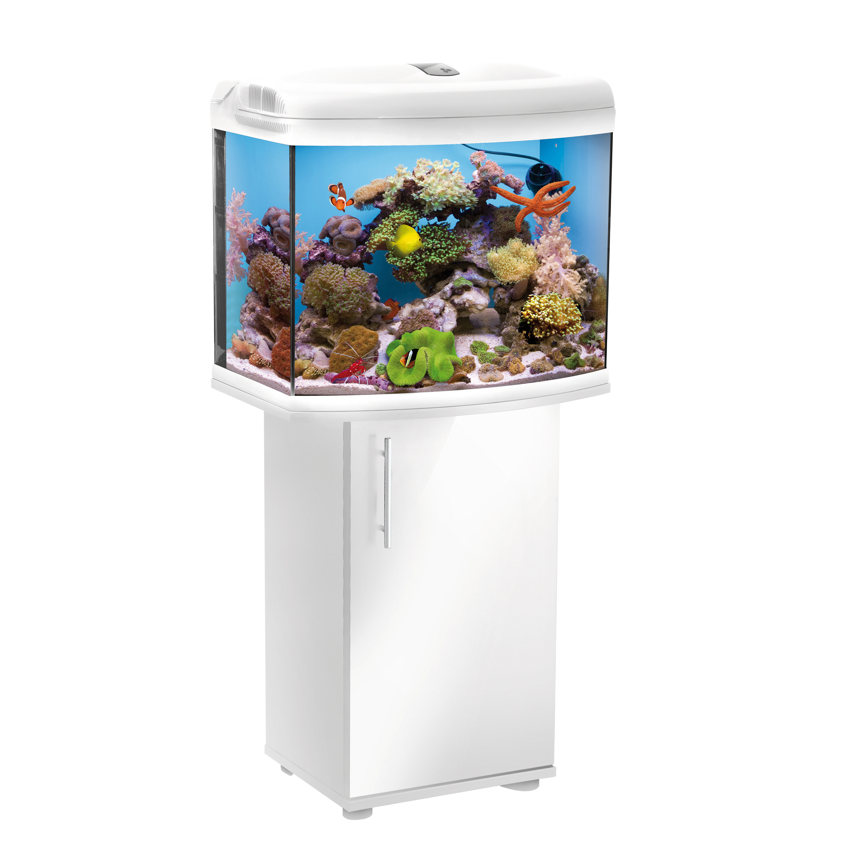 sealife reefmaster mini sealife reefmaster mini