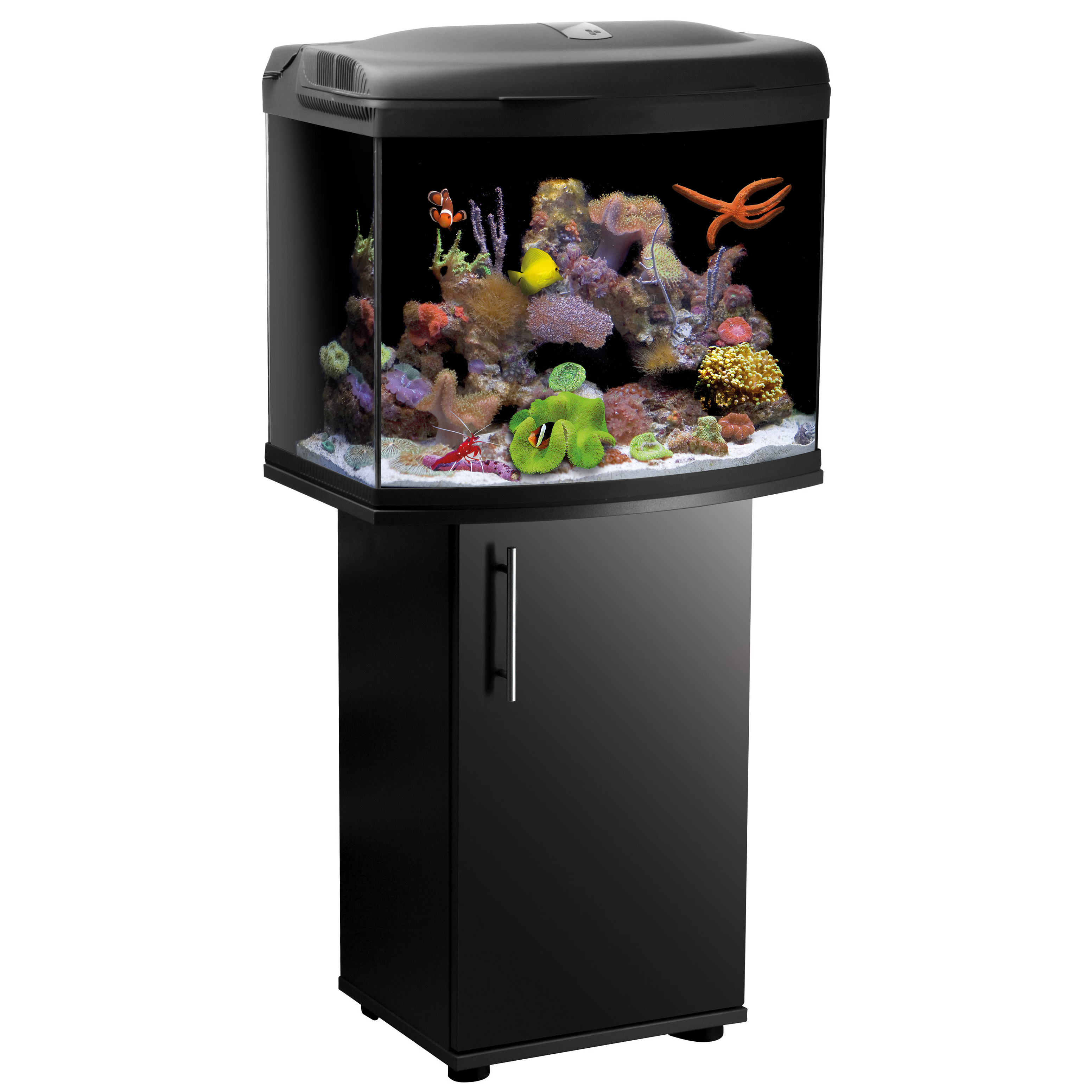 reefmaster reefmaster